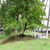 Zdjęcie z Kostaryki - PUERTO LIMON Kostaryka