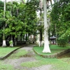 Zdjęcie z Kostaryki - PUERTO LIMON Kostaryka