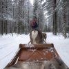 Zdjęcie z Finlandii - 