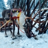 Zdjęcie z Finlandii - 