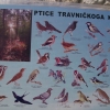 Zdjęcie z Bośni i Hercegowiny - Travnik