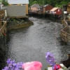 Zdjęcie ze Stanów Zjednoczonych - Ketchikan