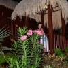 Zdjęcie z Curacao - wejście do naszego apartamentu