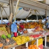 Zdjęcie z Curacao - Willemstad CURACAO