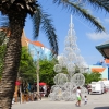 Zdjęcie z Curacao - Willemstad CURACAO