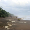 Zdjęcie z Kostaryki - Tortuguero Village (Caribbean)