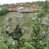 Zdjęcie ze Stanów Zjednoczonych - Yukon Territory (Kanada)