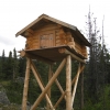 Zdjęcie ze Stanów Zjednoczonych - Yukon Territory (Kanada)
