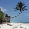 Zdjęcie z Tanzanii - Plaża Kiwengwa.