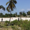 Zdjęcie z Tanzanii - 