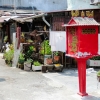 Zdjęcie z Malezji - PENANG