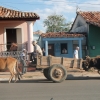 Zdjęcie z Kuby - Vinales