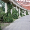 Zdjęcie z Polski - Pergola