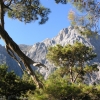 Zdjęcie z Grecji - samaria 10