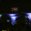 Zdjęcie z Singapuru - SINGAPUR