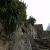 Zdjęcie z Peru - Machu Picchu