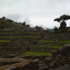 Zdjęcie z Peru - Machu Picchu