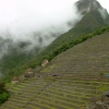 Zdjęcie z Peru - Machu Picchu
