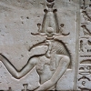 Zdjęcie z Egiptu - Świątynia w Edfu - relief z ibisopodobnym bogiem Thotem.
