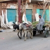 Zdjęcie z Egiptu - Edfu - życie na ulicach.