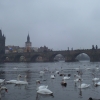 Zdjęcie z Czech - 