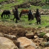 Zdjęcie z Lesotho - Sani Pass