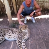 Zdjęcie z Republiki Półudniowej Afryki - Cango Wildlife Ranch