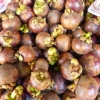 Zdjęcie z Tajlandii - mangostany -przepyszne