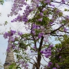 Zdjęcie z Tajlandii - Ayutthaya
