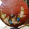 Zdjęcie z Tajlandii - parasolkowe cudeńka