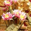 Zdjęcie z Tajlandii - Wat Doi Suthep
