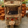 Zdjęcie z Tajlandii - doniczkowy tuk-tuk:))