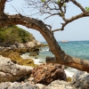 Zdjęcie z Tajlandii - Koh Larn