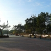 Zdjęcie z Polski - Krynica Morska