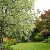 Zdjęcie z Nowej Zelandii - Waitati Gardens