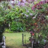Zdjęcie z Nowej Zelandii - Waitati Gardens
