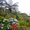 Zdjęcie z Nowej Zelandii - Waitati Gardens
