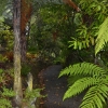 Zdjęcie z Nowej Zelandii - Waitati Gardens