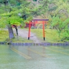 Zdjęcie z Japonii - Nara