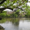 Zdjęcie z Japonii - Kamakura