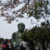 Zdjęcie z Japonii - Kamakura