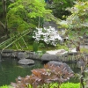 Zdjęcie z Japonii - Kamakura
