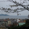 Zdjęcie z Japonii - Kamakura
