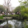 Zdjęcie z Japonii - Kamakura