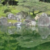 Zdjęcie z Japonii - Kyoto