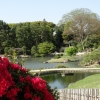Zdjęcie z Japonii - Okayama