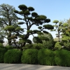 Zdjęcie z Japonii - Okayama