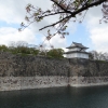 Zdjęcie z Japonii - Osaka