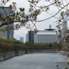 Zdjęcie z Japonii - Osaka