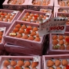 Zdjęcie z Japonii - Osaka